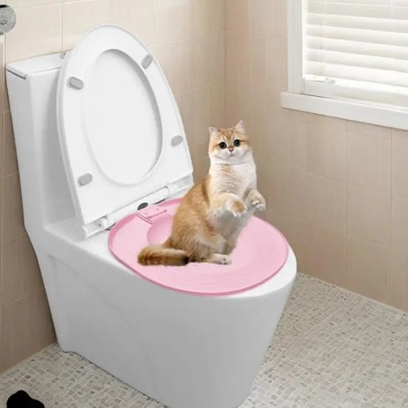 Kit Apprentissage Toilette pour Chat - Siège WC Réutilisable Progressif