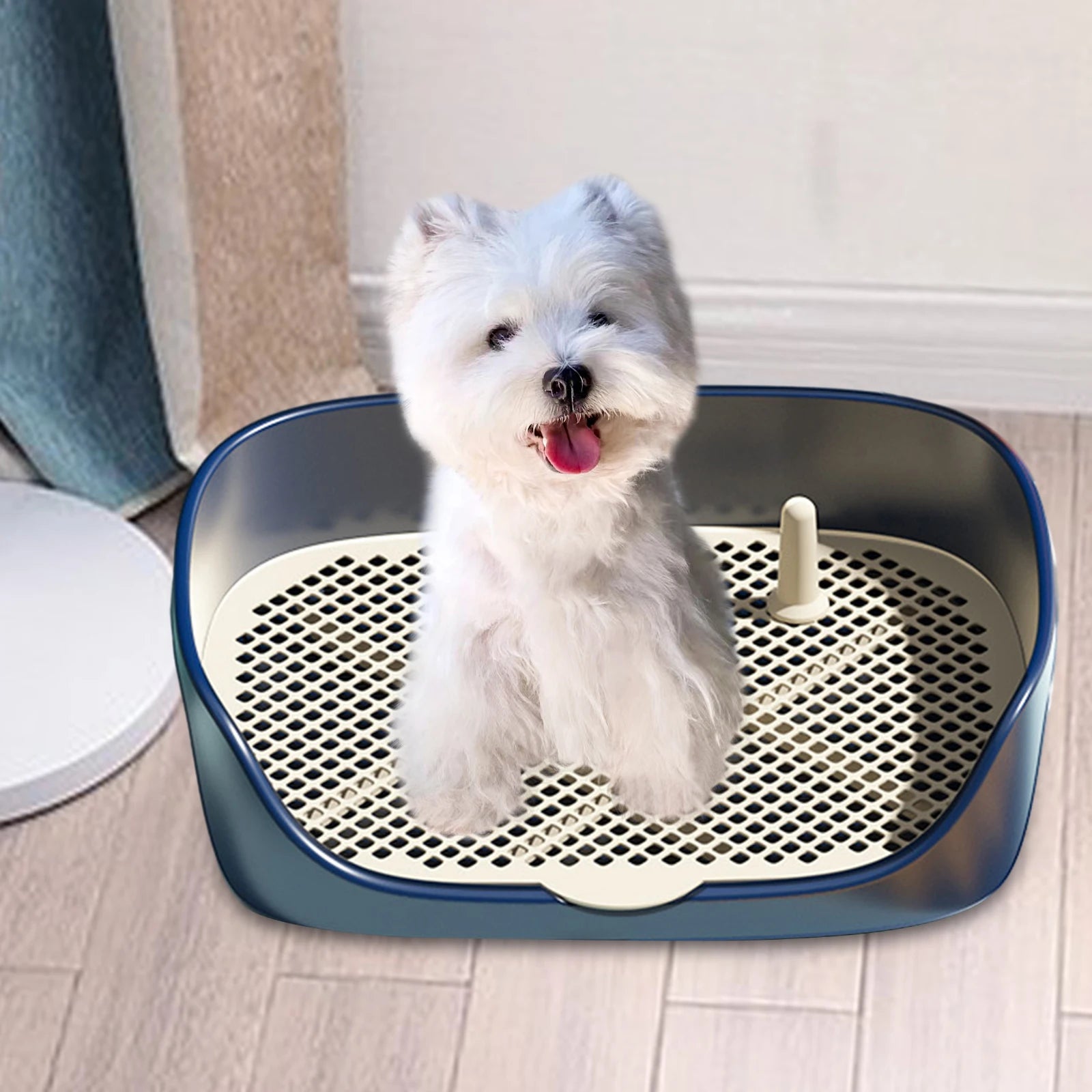 Toilette d'Intérieur pour Chien et Chat avec Protection