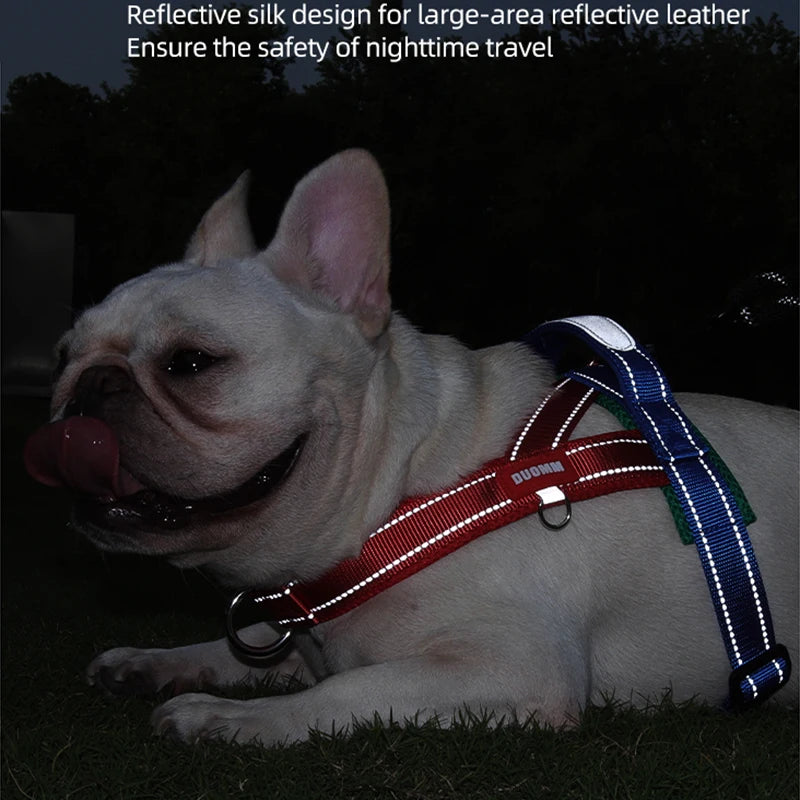 Harnais Gilet Réfléchissant pour Chien - Confort Respirant Extérieur Promenade