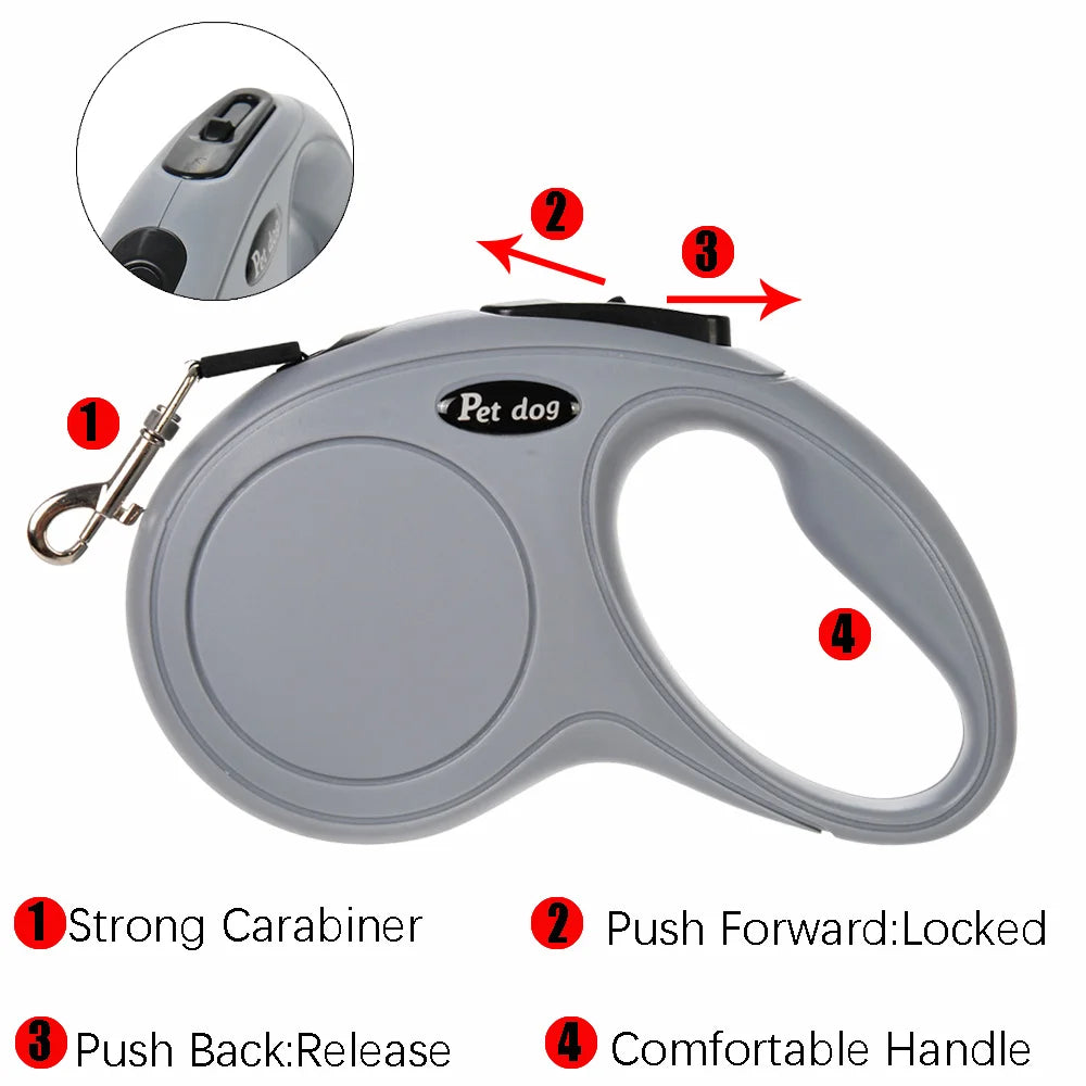 Laisse Rétractable pour Chat et Petit Chien - Nylon 3m/5m Extérieur Randonnée