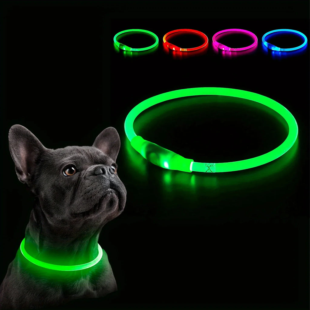Collier LED Lumineux pour Chien - Rechargeable USB Anti-Perte Sécurité