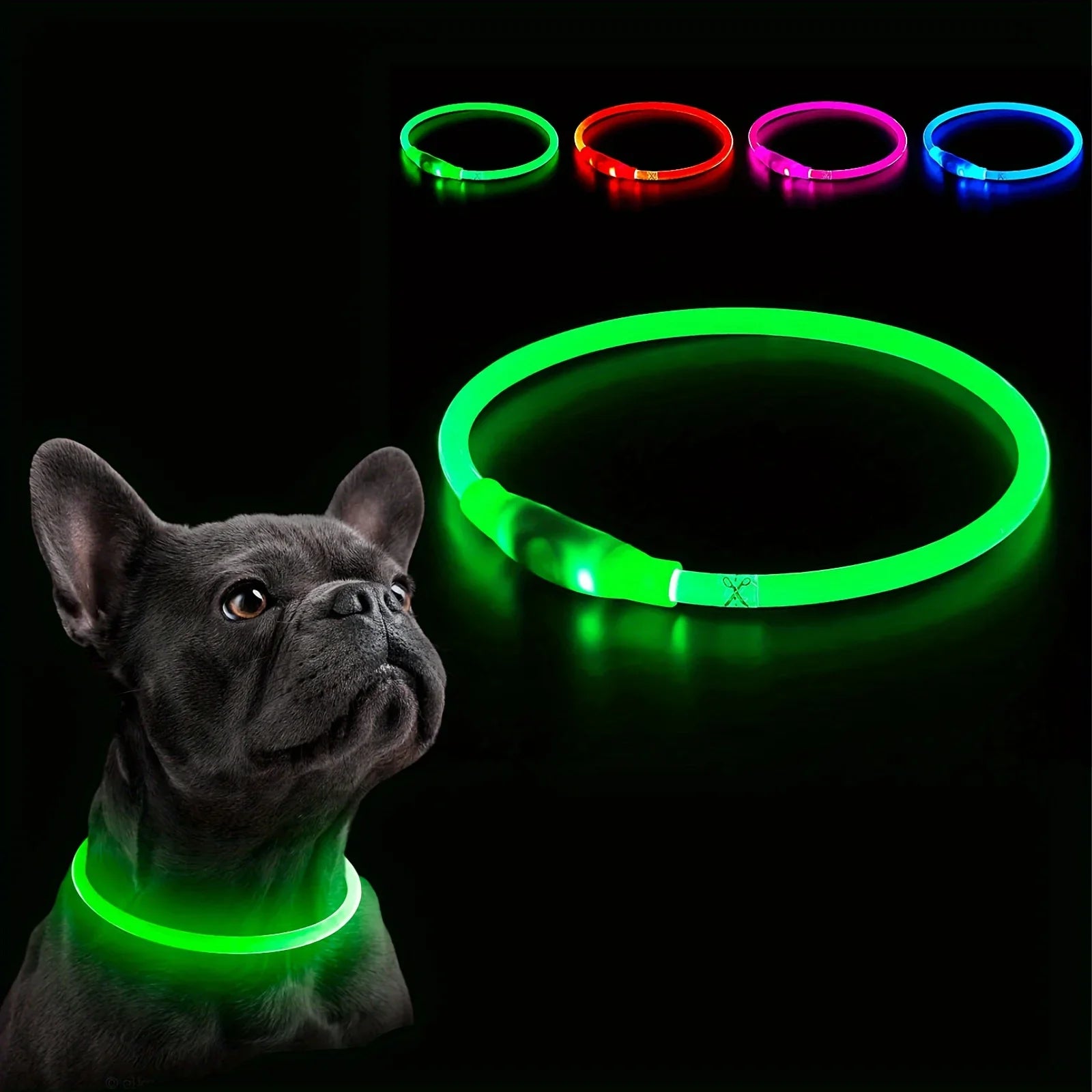 Collier LED Lumineux pour Chien - Rechargeable USB Anti-Perte Sécurité