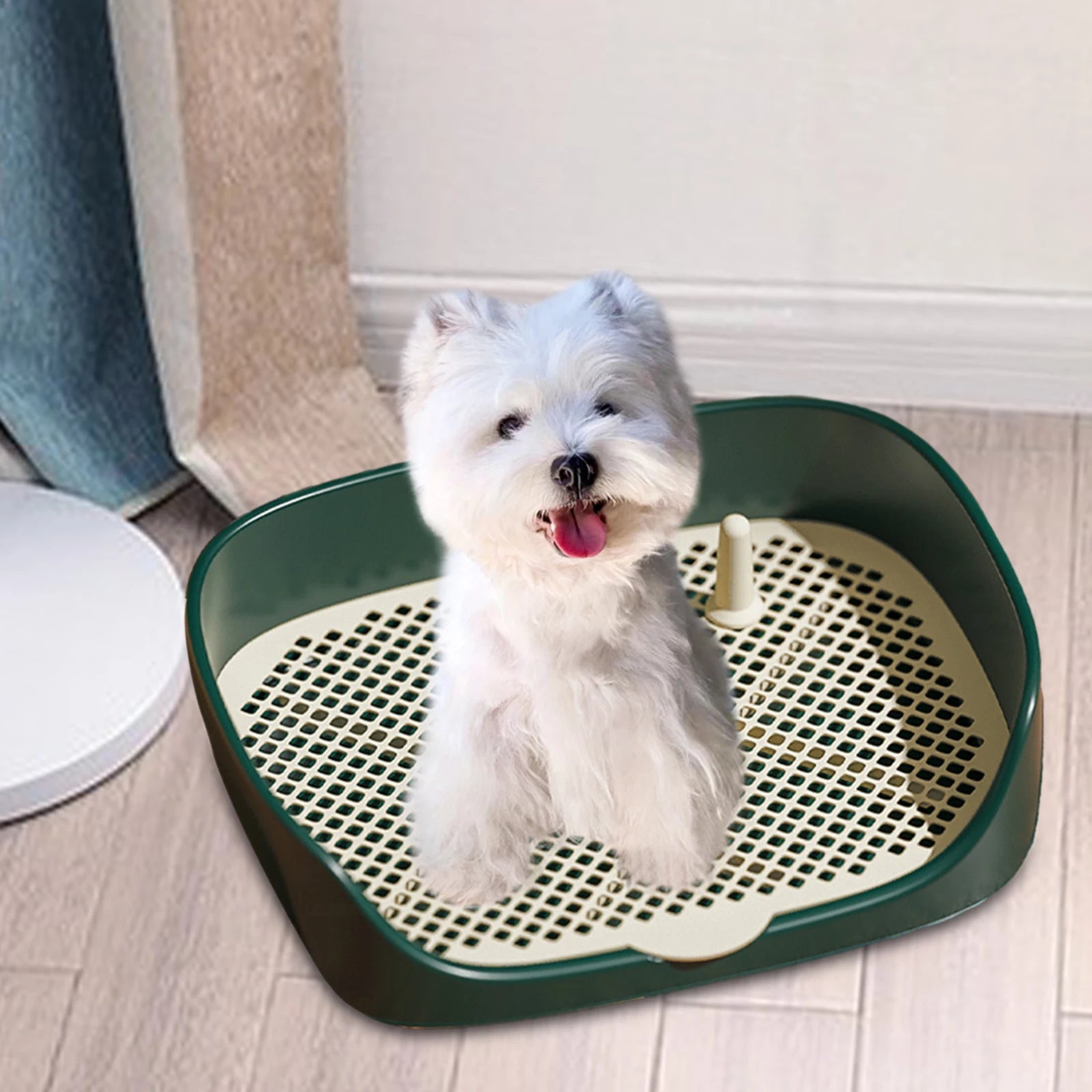 Toilette d'Intérieur pour Chien et Chat avec Protection