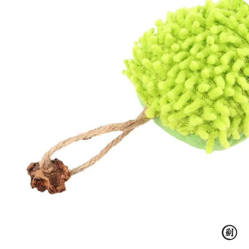 Jouet Peluche Interactif Anti-Griffures pour Chat - Stimulation Mentale