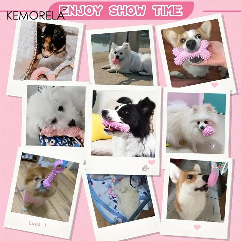 Set 6 Jouets à Mâcher pour Chien - Nettoyage Dents Caoutchouc Souple