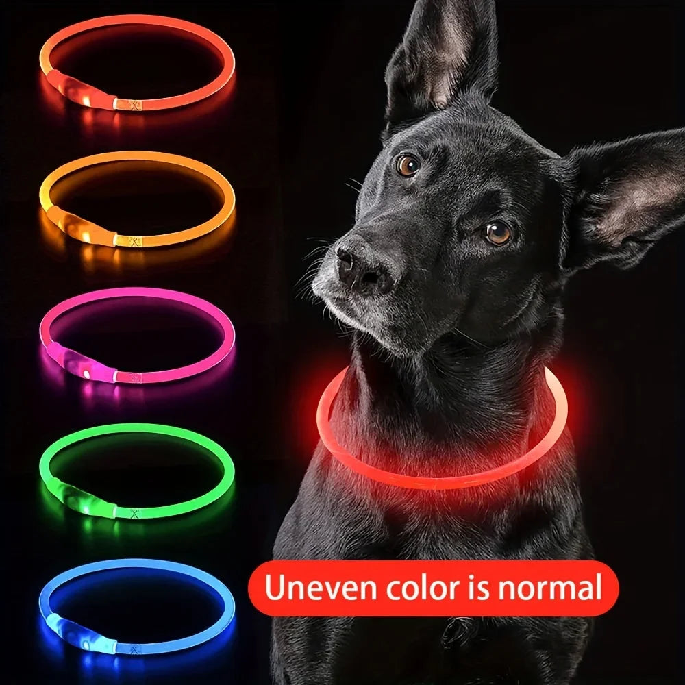 Collier LED Lumineux pour Chien - Rechargeable USB Anti-Perte Sécurité