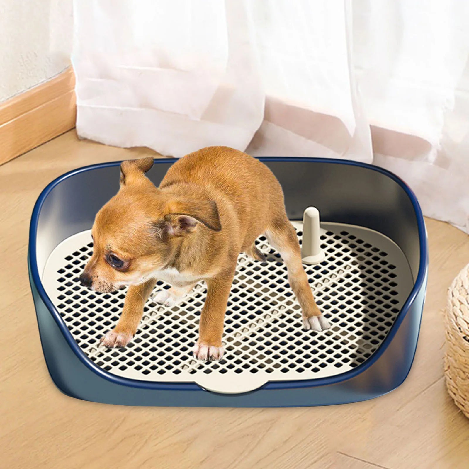 Toilette d'Intérieur pour Chien et Chat avec Protection