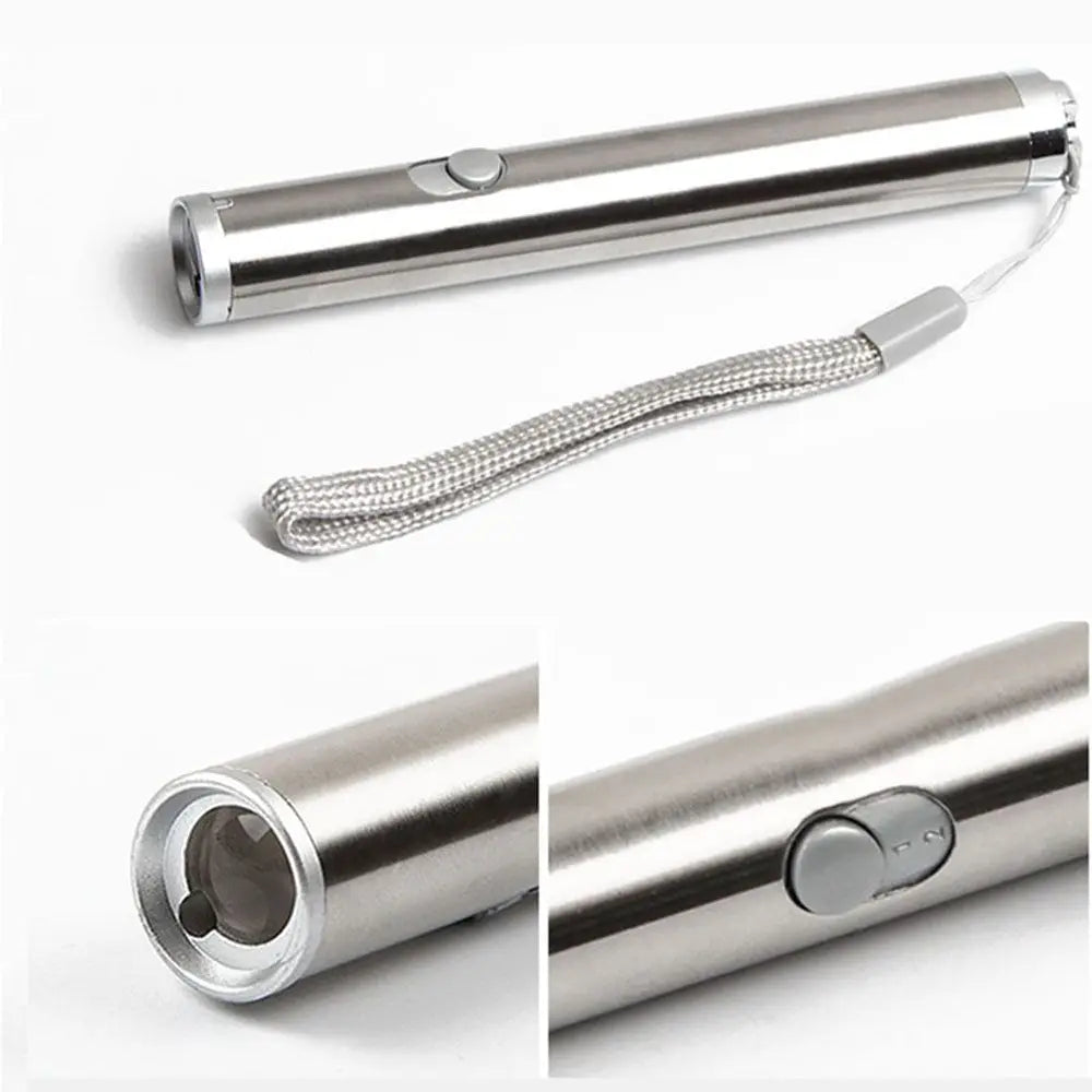 Pointeur Laser 2-en-1 pour Chat - Jouet Interactif LED Lampe Torche