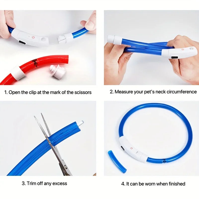 Collier LED Lumineux pour Chien - Rechargeable USB Anti-Perte Sécurité