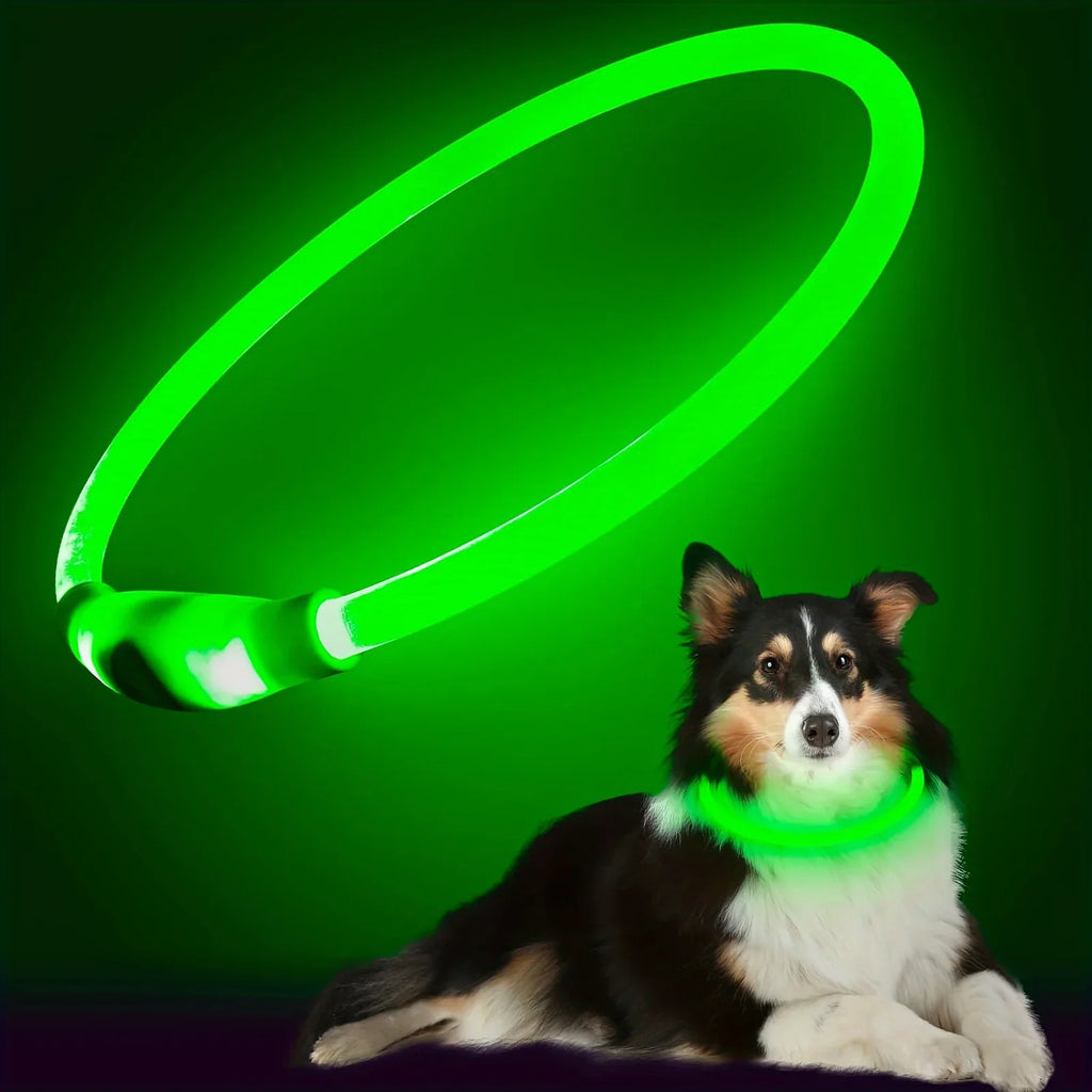 Collier LED Lumineux pour Chien - Rechargeable USB Anti-Perte Sécurité