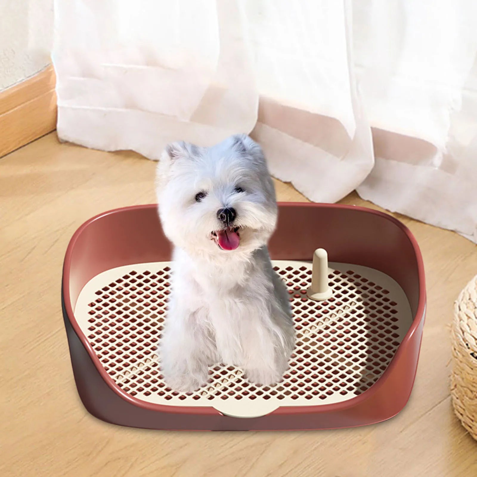 Toilette d'Intérieur pour Chien et Chat avec Protection