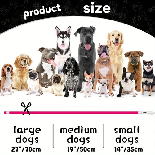 Collier LED Lumineux pour Chien - Rechargeable USB Anti-Perte Sécurité